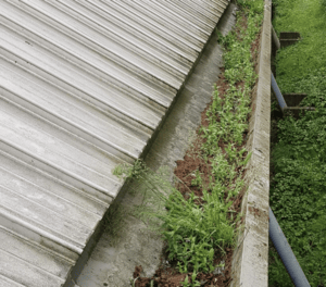 Happy customers in Cheshunt who trust The Roof Moss Cleaners for gutter cleaning services