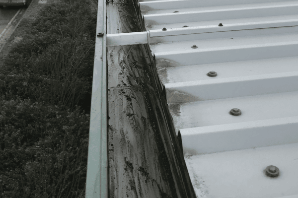 Commercial gutter cleaning specialists in Cheshunt